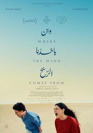 Affiche du film 